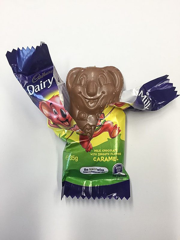 Cadbury Catamello Koala 焦糖牛奶夾心巧克力
